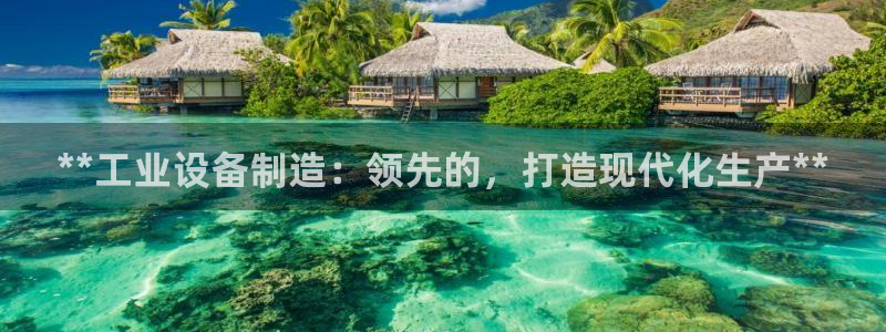 彩神可以提现吗：**工业设备制造：领先的，打造现代化生产**