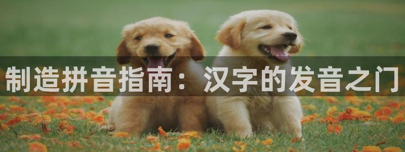 下载彩神乐发V