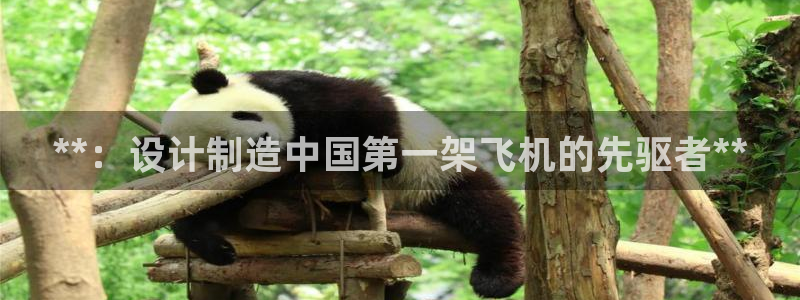 彩神系列平台
