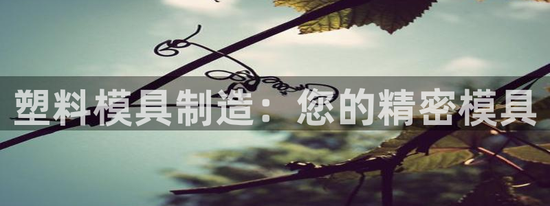 彩神v