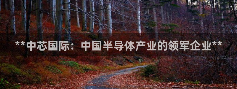 天天彩神welcome