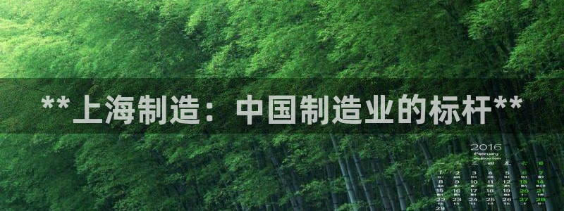 彩神vl购彩大厅