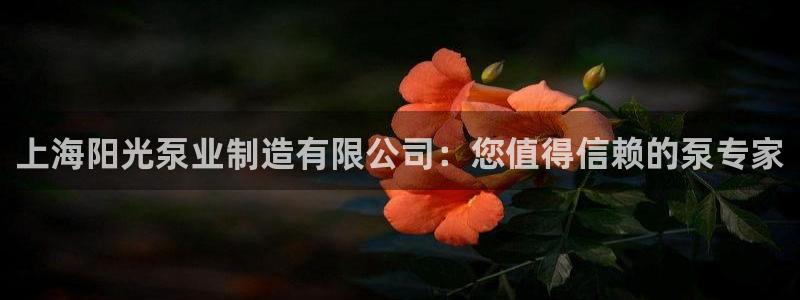 彩神旗下有哪些平台可以看