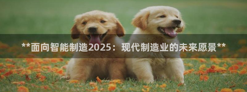 彩神大发云