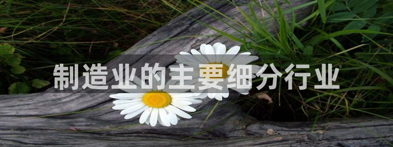 彩神购彩-购彩大厅入口娱乐首选