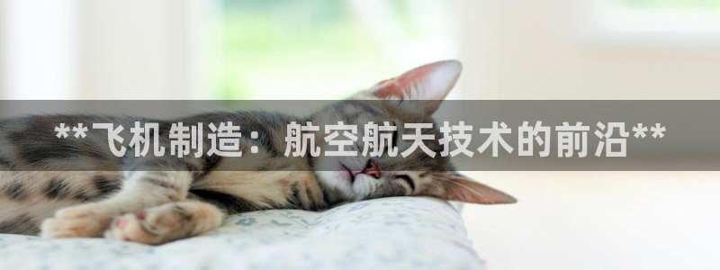 新版彩神v8登录不了