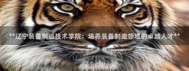 彩神是怎样一个平台