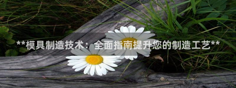 新版彩神v8登录