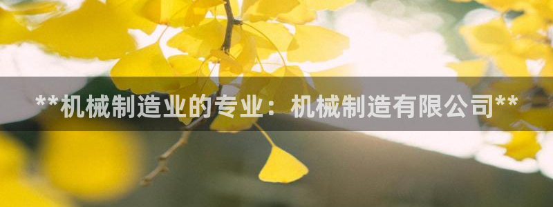彩神官方登录