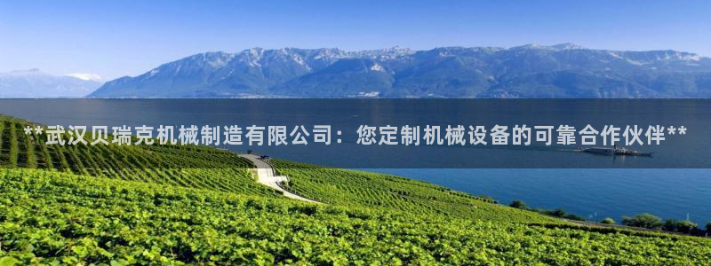 新版彩神v8登录教程