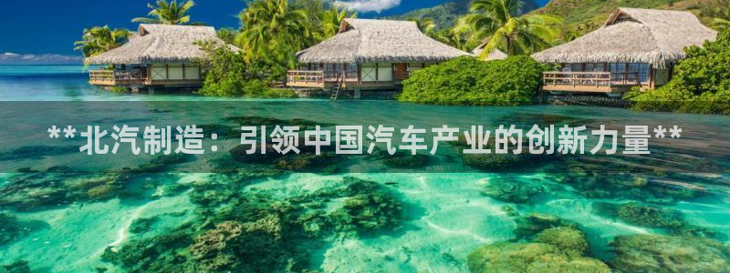彩神vllⅰ购彩大厅