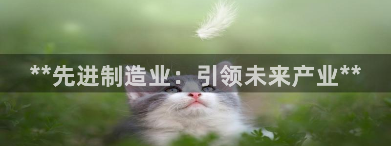 下载彩神通关注码