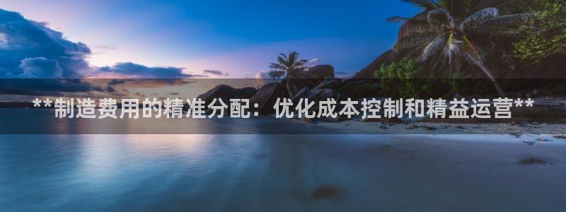 彩神ix官网是哪个公司的