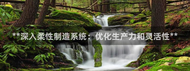 彩神v破解版