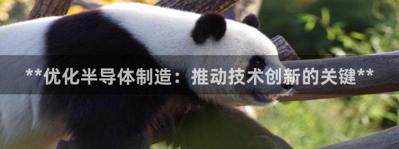 彩神平台注册登录