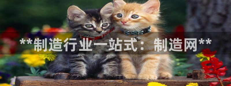 彩神赢钱了吗知乎