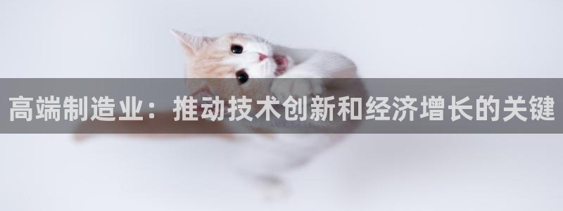 彩神8官网合法吗