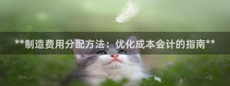 彩神官方邀请码是多少
