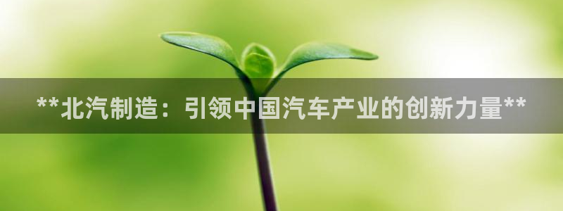 彩神v8手机客户端：**北汽制造：引领中国汽车产业的创新力量