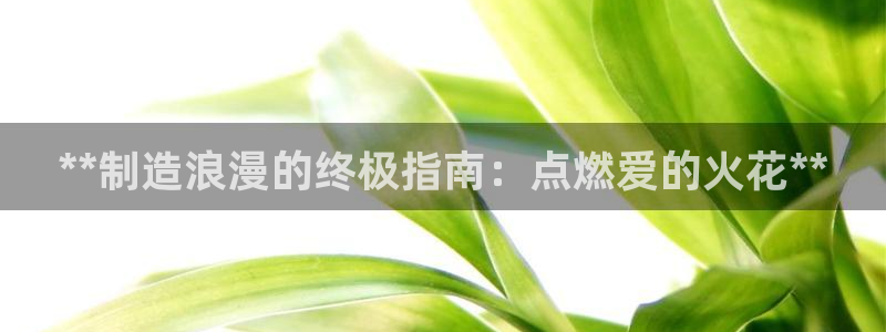 彩神app赚钱是真是假：**制造浪漫的终极指南：点燃爱的火花