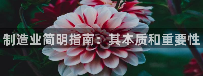 彩神ⅴll是什么样平台