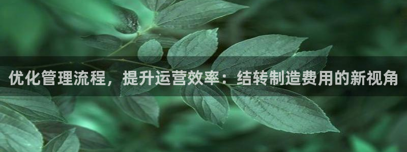 彩神v秘聊号码