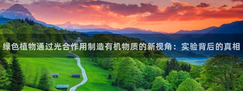 彩神平台是什么套路：绿色植物通过光合作用制造有机物质的新视角：实验背后的真相