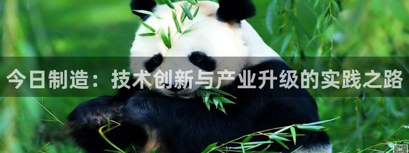 彩神怎么才能赢：今日制造：技术创新与产业升级的实践之路