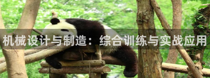 彩神网合法吗