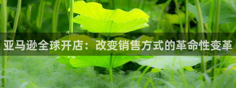 彩神v网赌软件下载：亚马逊全球开店：改变销售方式的革命性变革