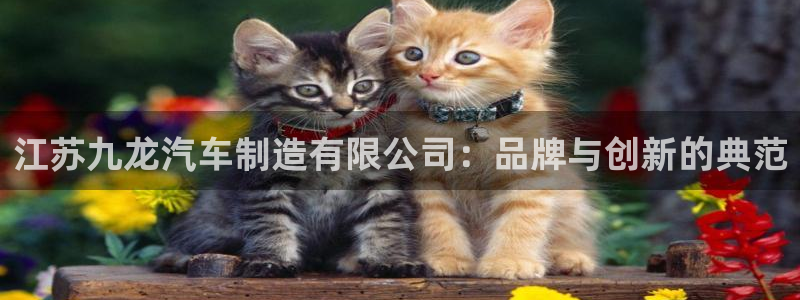 彩神争霸官方登录：江苏九龙汽车制造有限公司：品牌与创新的典范