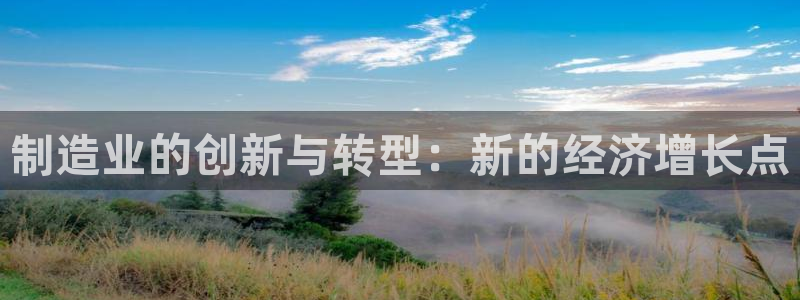 彩神赢了钱登录不上去：制造业的创新与转型：新的经济增长点