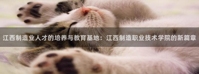 彩神是正规平台吗：江西制造业人才的培养与教育基地：江西制造职业技术学院的新篇章