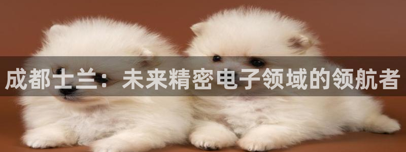 彩神V官网：成都士兰：未来精密电子领域的领航者