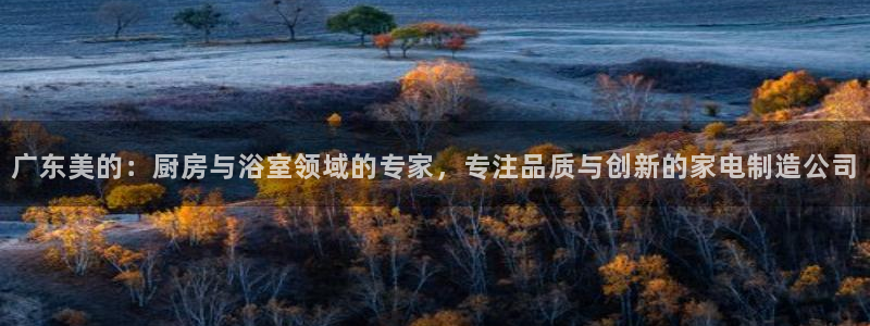 彩神vll官网在线登录：广东美的：厨房与浴室领域的专家，专注品质与创新的家电制造公司