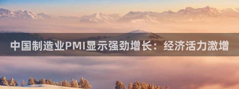 彩神vlll(中国)百度百科：中国制造业PMI显示强劲增长：经济活力激增