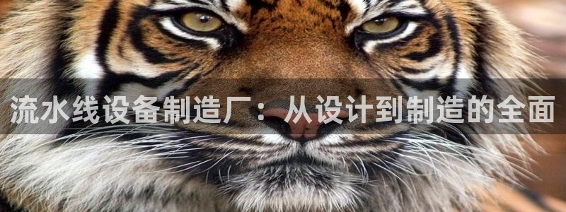 彩神争霸官方下载：流水线设备制造厂：从设计到制造的全面