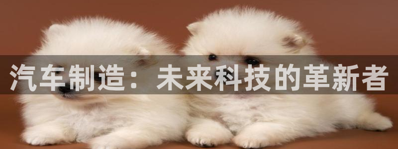 彩神v争霸是啥