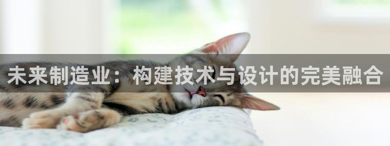 彩神ix是真的吗：未来制造业：构建技术与设计的完美融合