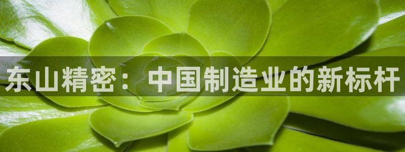彩神v8iii：东山精密：中国制造业的新标杆